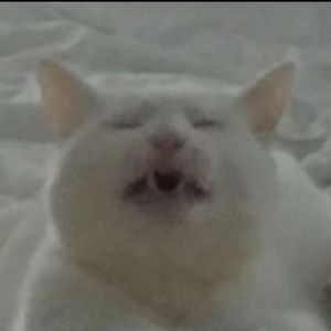 Meet your Posher, Christian